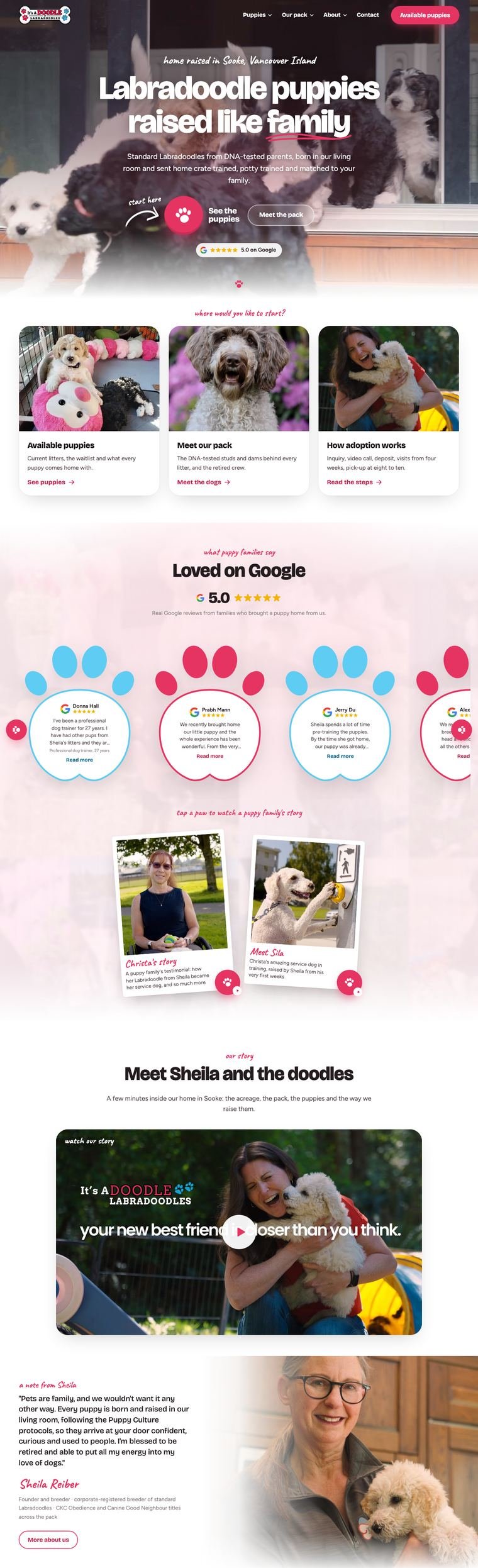 The new It's A Doodle homepage design: a video hero, three clear paths, Google reviews, video testimonials and a note from the owner
